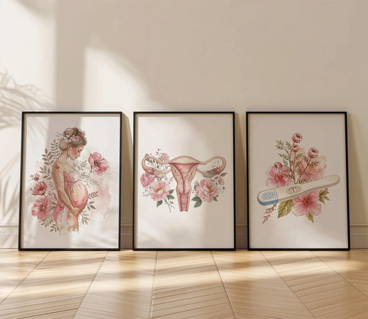 Trio Tableau Cabinet De Gynécologie CG-07